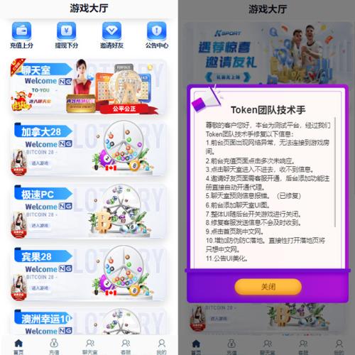 2025加拿大28宾果28澳洲幸运10游戏大厅新版UI修复功能带小白搭建视频教程